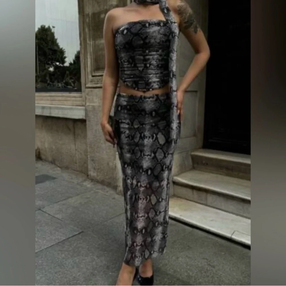 New Zara 2 Piece Coord Snake Print Tulle Top and Skirt Medium 5039/475 5039/472